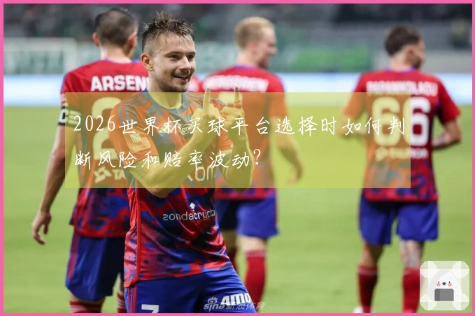 2026世界杯买球平台选择时如何判断风险和赔率波动？
