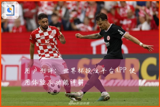 用户测评：世界杯投注平台APP 使用体验及功能详解