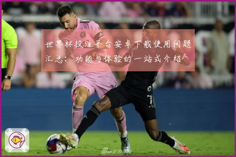 世界杯投注平台安卓下载使用问题汇总：功能与体验的一站式介绍