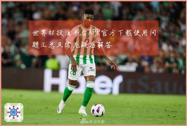 世界杯投注平台APP官方下载使用问题汇总及常见疑惑解答