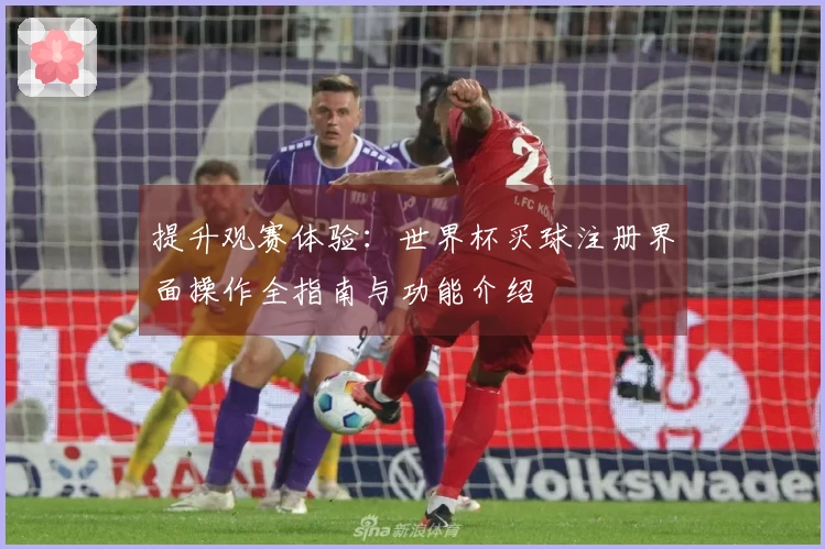 提升观赛体验：世界杯买球注册界面操作全指南与功能介绍