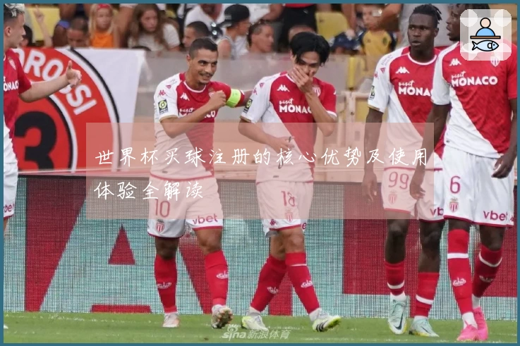 世界杯买球注册的核心优势及使用体验全解读