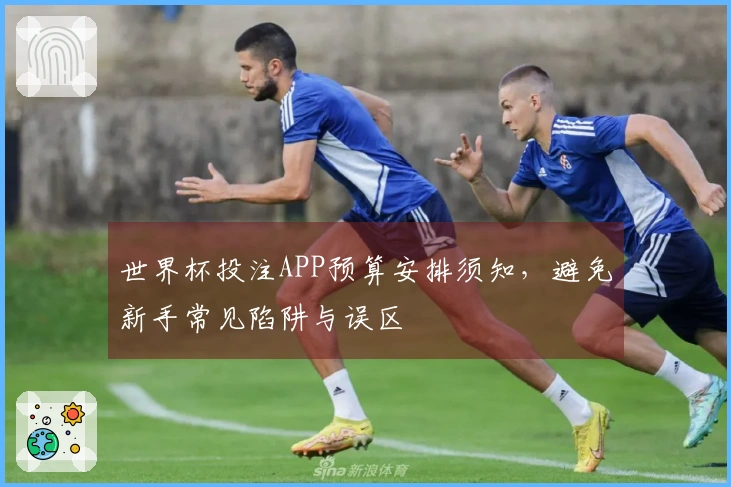 世界杯投注APP预算安排须知，避免新手常见陷阱与误区