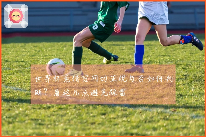 世界杯竞猜官网的正规与否如何判断？看这几点避免踩雷