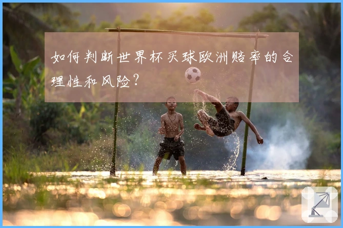 如何判断世界杯买球欧洲赔率的合理性和风险？