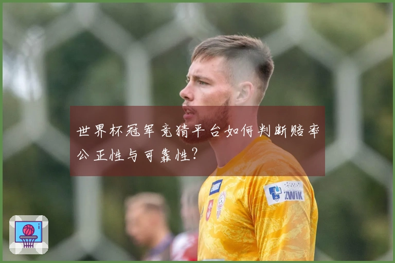 世界杯冠军竞猜平台如何判断赔率公正性与可靠性？