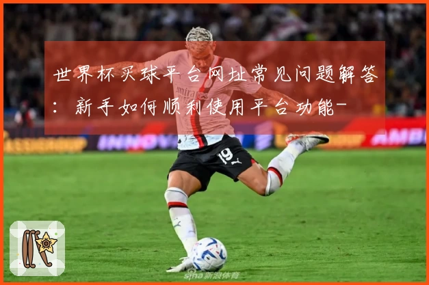 世界杯买球平台网址常见问题解答：新手如何顺利使用平台功能-