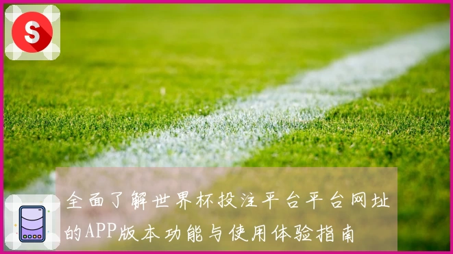 全面了解世界杯投注平台平台网址的APP版本功能与使用体验指南
