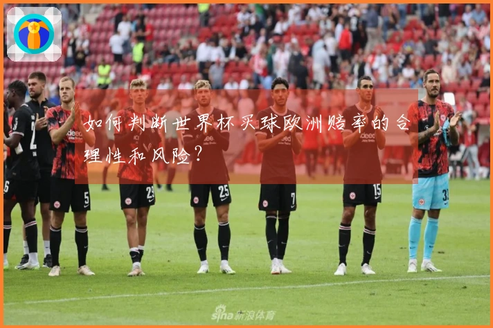 如何判断世界杯买球欧洲赔率的合理性和风险？