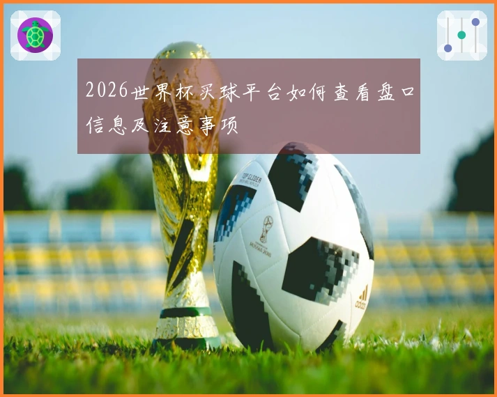 2026世界杯买球平台如何查看盘口信息及注意事项