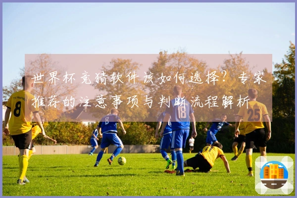 世界杯竞猜软件该如何选择？专家推荐的注意事项与判断流程解析