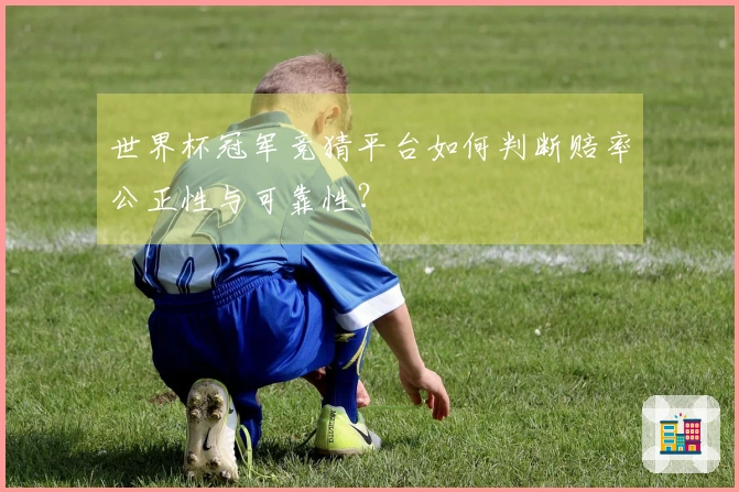世界杯冠军竞猜平台如何判断赔率公正性与可靠性？