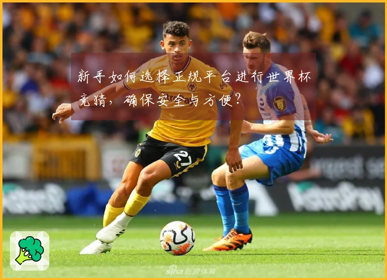 新手如何选择正规平台进行世界杯竞猜，确保安全与方便？