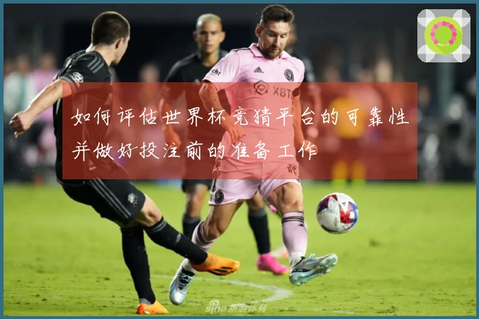 如何评估世界杯竞猜平台的可靠性并做好投注前的准备工作