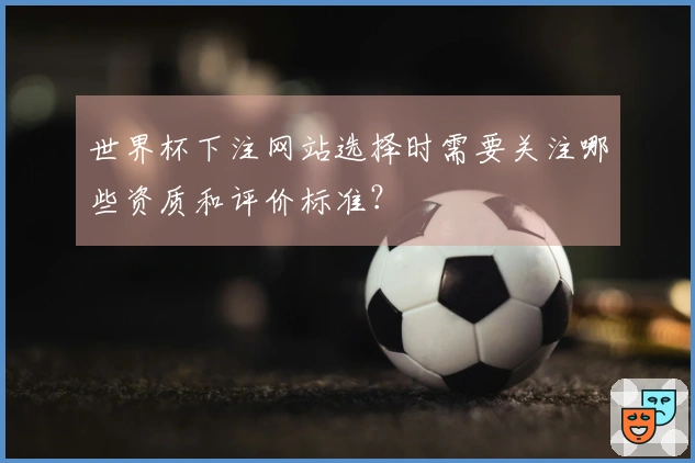 世界杯下注网站选择时需要关注哪些资质和评价标准？