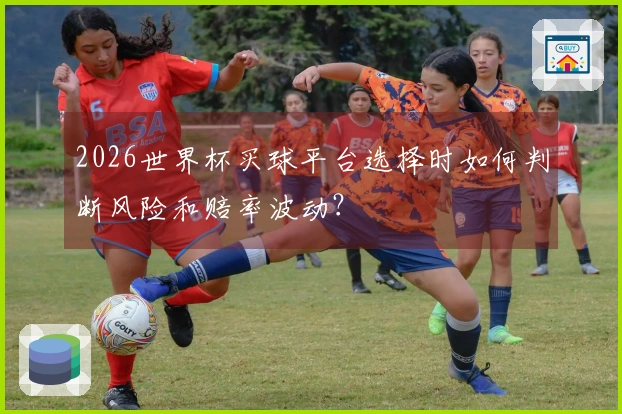 2026世界杯买球平台选择时如何判断风险和赔率波动？